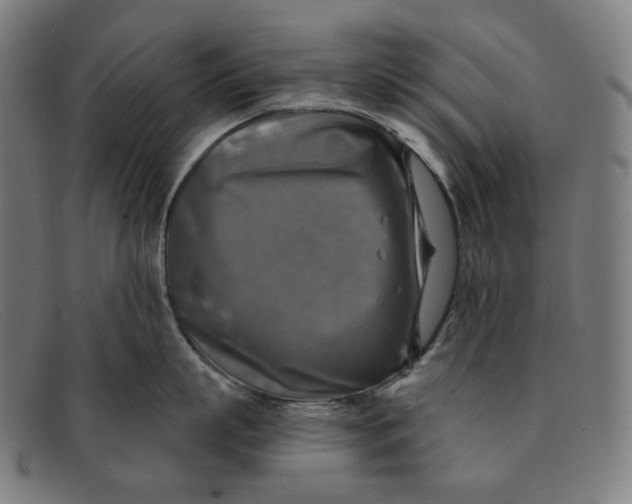 X0000091290863200708311316