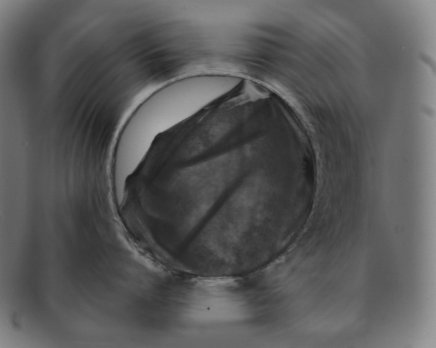 X0000091290864200708311316