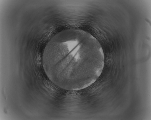 X0000091290866200708311315