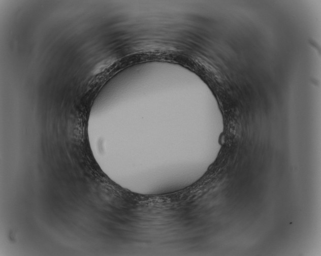 X0000091290869200708311315