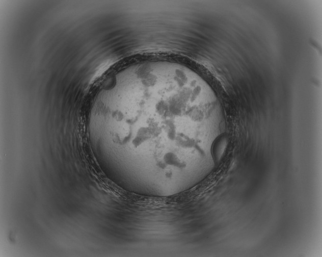 X0000091290871200708311315