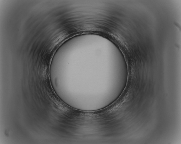 X0000091290873200708311315