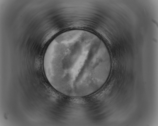 X0000091290874200708311315