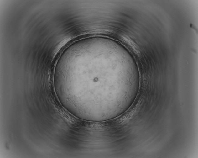 X0000091290875200708311315