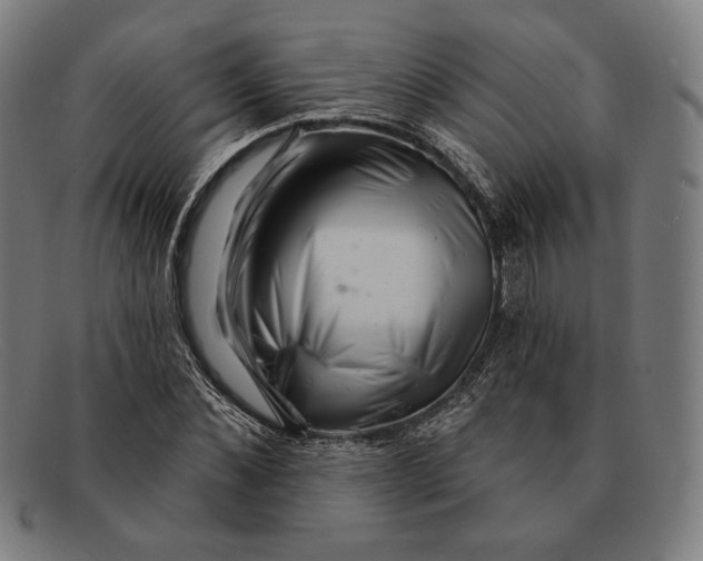 X0000091290876200708311315