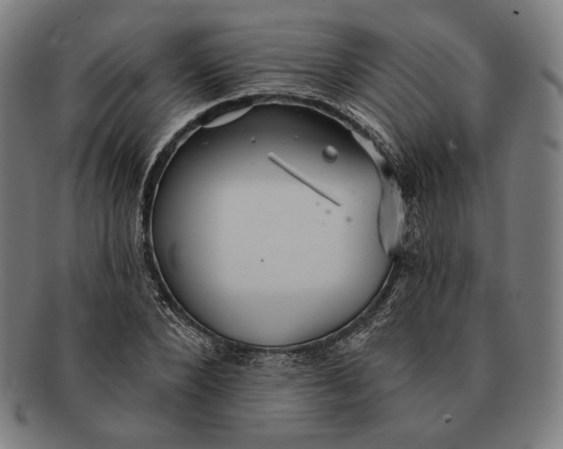 X0000091290880200708311315