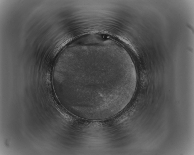 X0000091290881200708311315