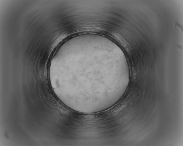 X0000091290883200708311315