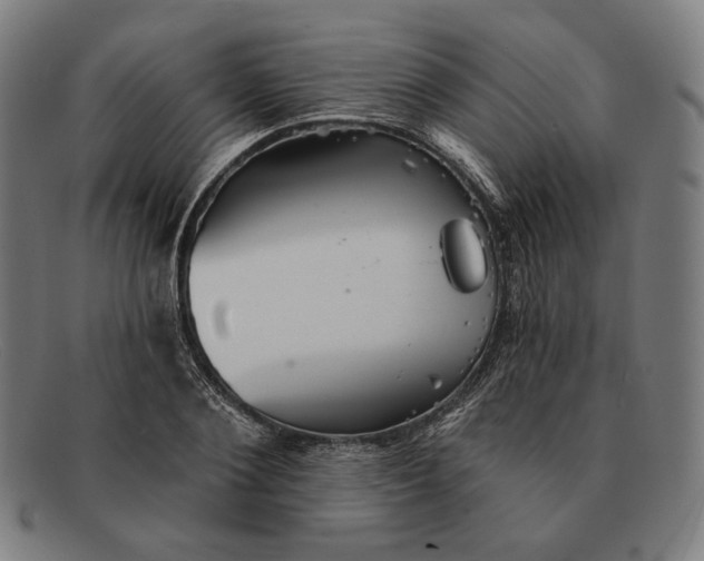 X0000091290884200708311315