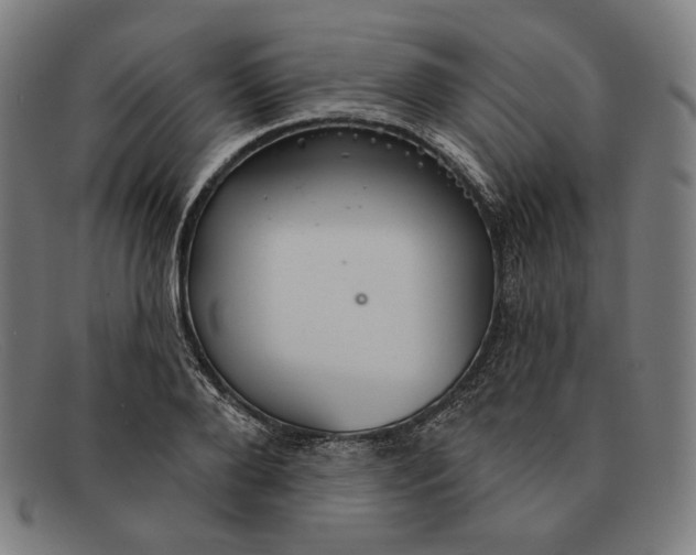 X0000091290888200708311315