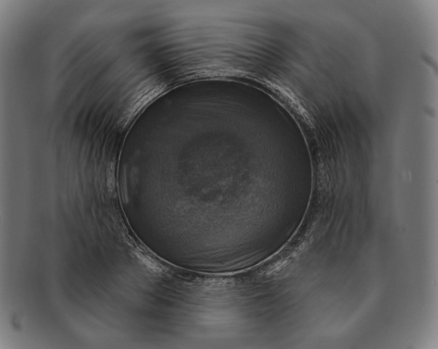 X0000091290889200708311315