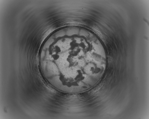 X0000091290891200708311315