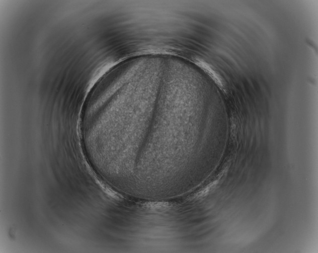 X0000091290893200708311315