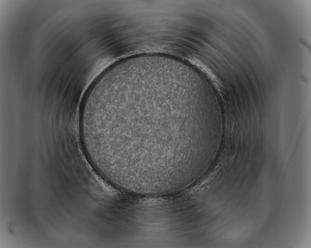 X0000091290894200708311315