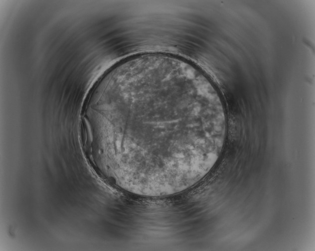 X0000091290895200708311315