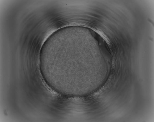 X0000091290896200708311315