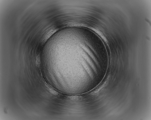 X0000091290897200708311315