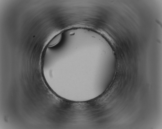 X0000091290902200708311315