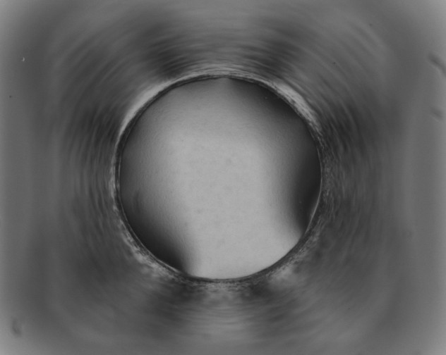 X0000091290904200708311315