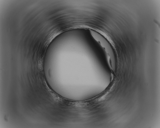 X0000091290905200708311315