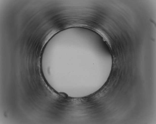 X0000091290906200708311315