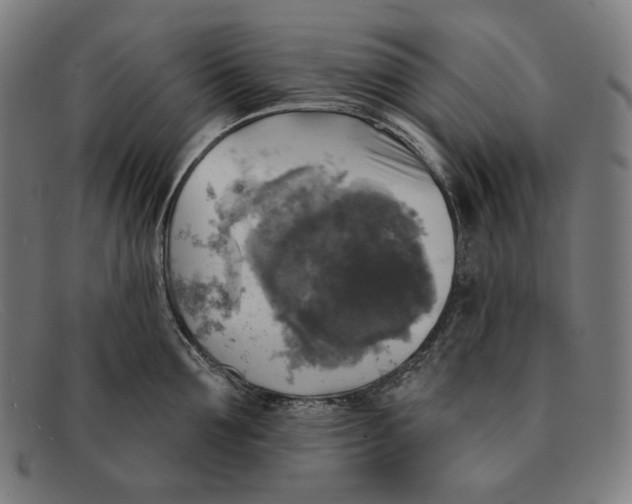 X0000091290907200708311315