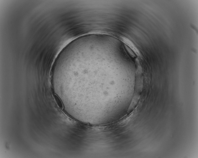 X0000091290908200708311315