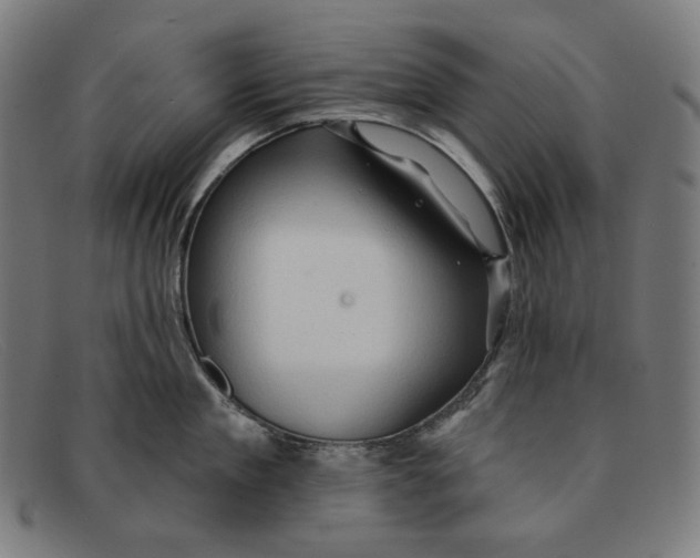 X0000091290909200708311315