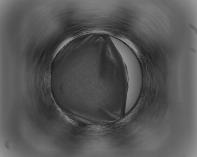 X0000091290910200708311315