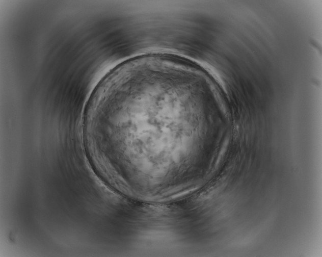 X0000091290911200708311315