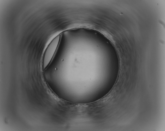 X0000091290912200708311315