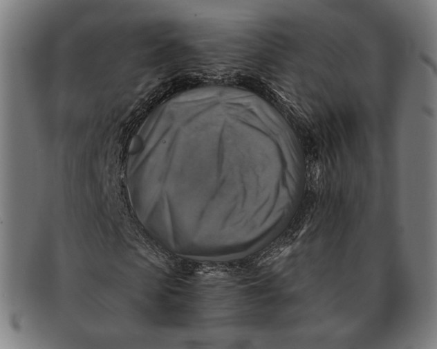 X0000091290913200708311314