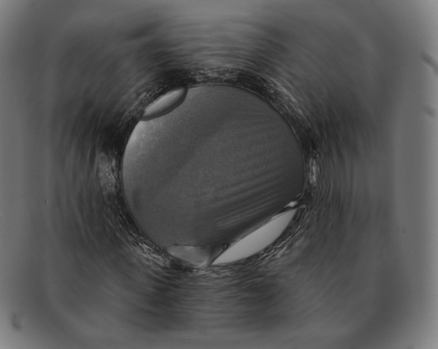 X0000091290915200708311314