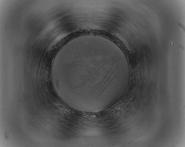 X0000091290919200708311314