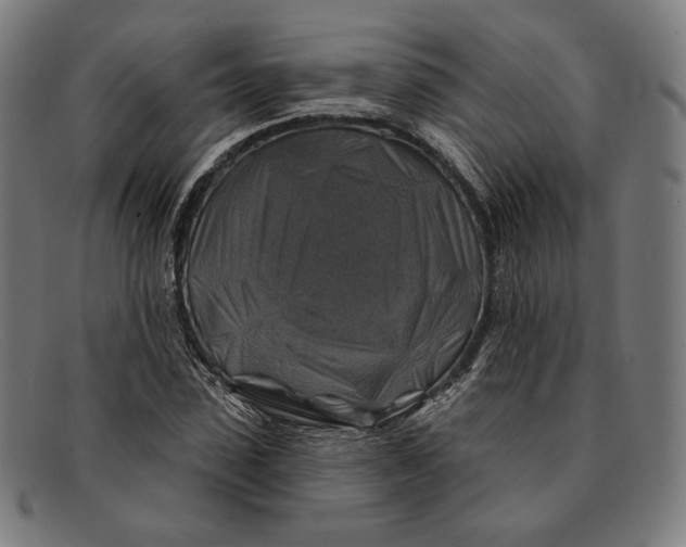 X0000091290923200708311314