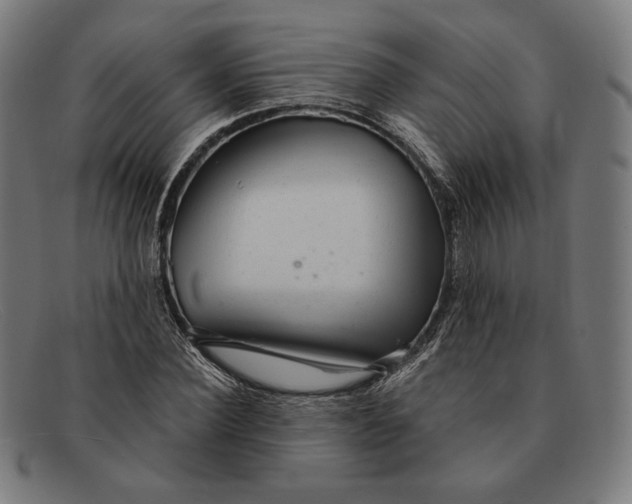 X0000091290924200708311314