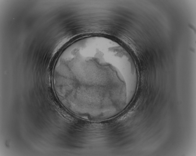 X0000091290925200708311314