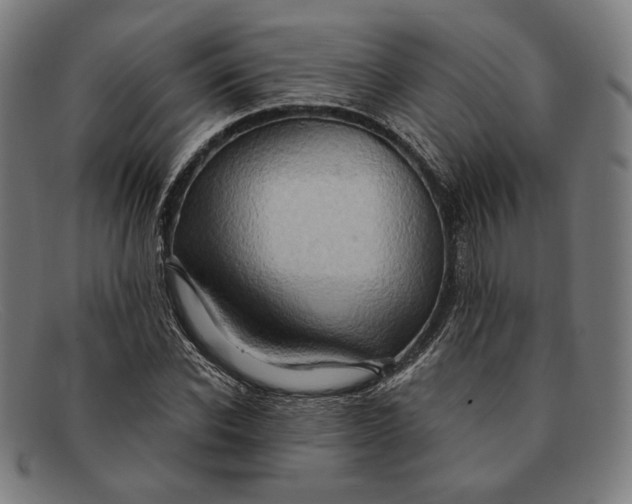 X0000091290926200708311314