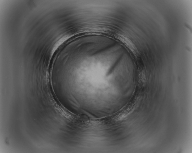 X0000091290928200708311314