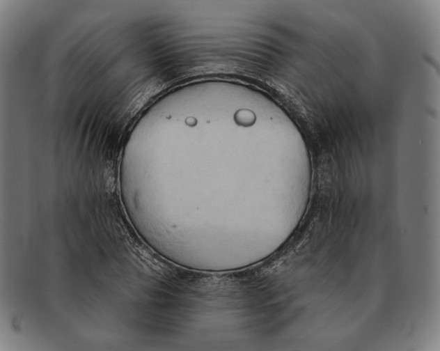 X0000091290929200708311314