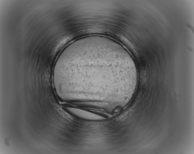 X0000091290930200708311314