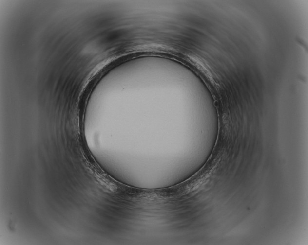 X0000091290931200708311314