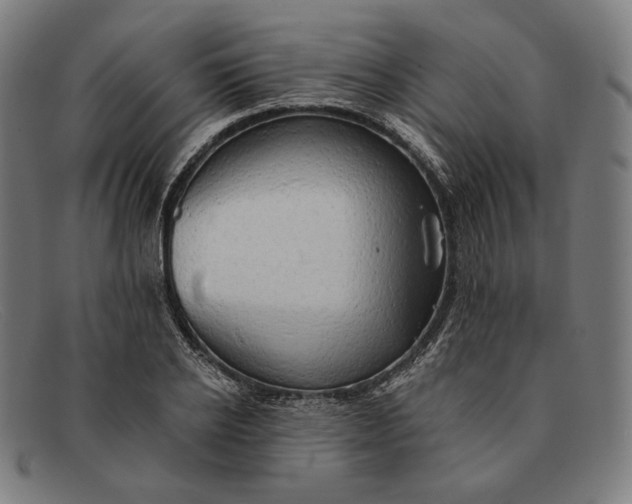 X0000091290934200708311314