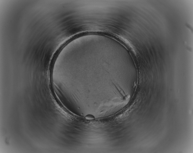 X0000091290935200708311314