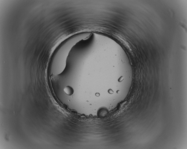 X0000091290936200708311314