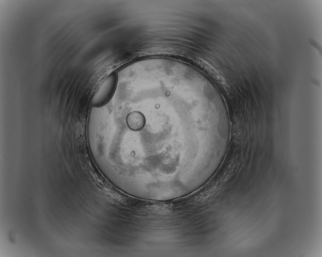 X0000091290937200708311314