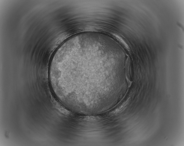 X0000091290938200708311314