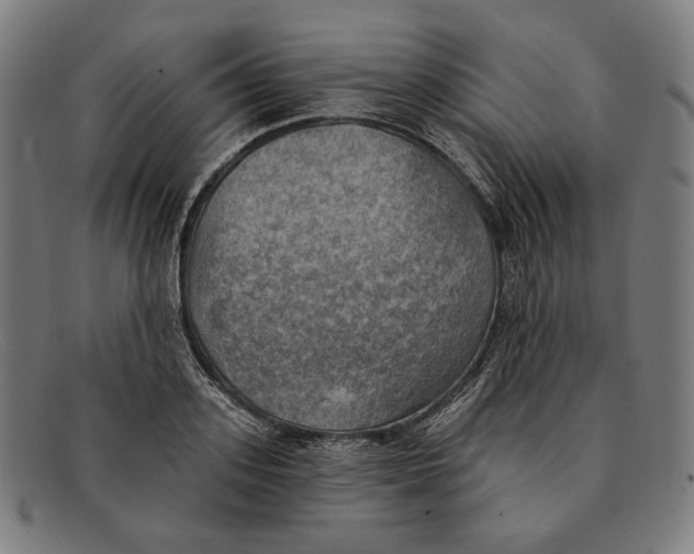 X0000091290939200708311314