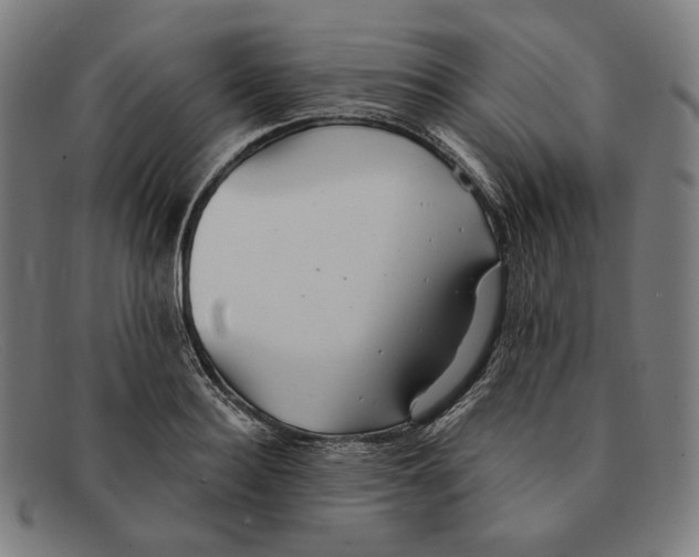 X0000091290940200708311314