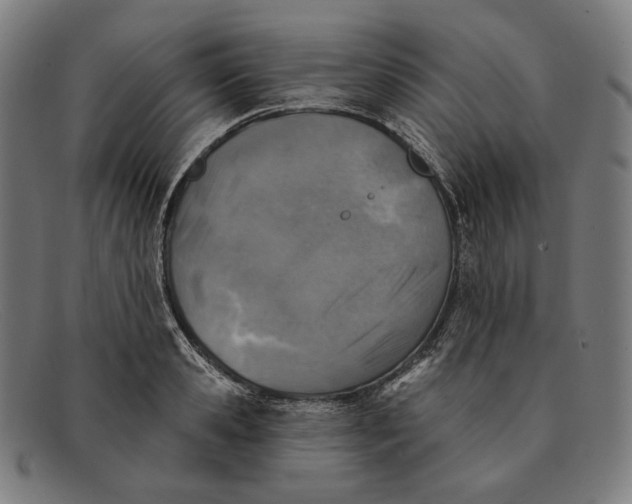 X0000091290941200708311314